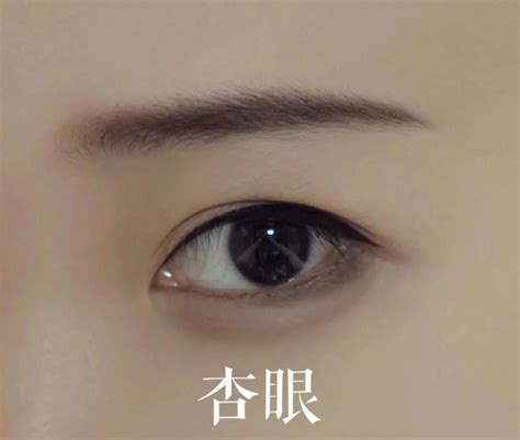 鳳眼特徵|桃花眼，丹鳳眼，瑞鳳眼，傳統眼型盤點